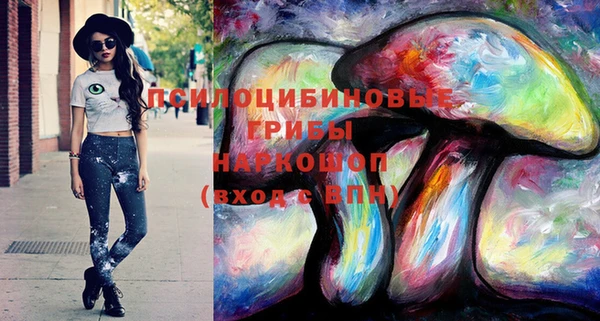 винт Ладушкин